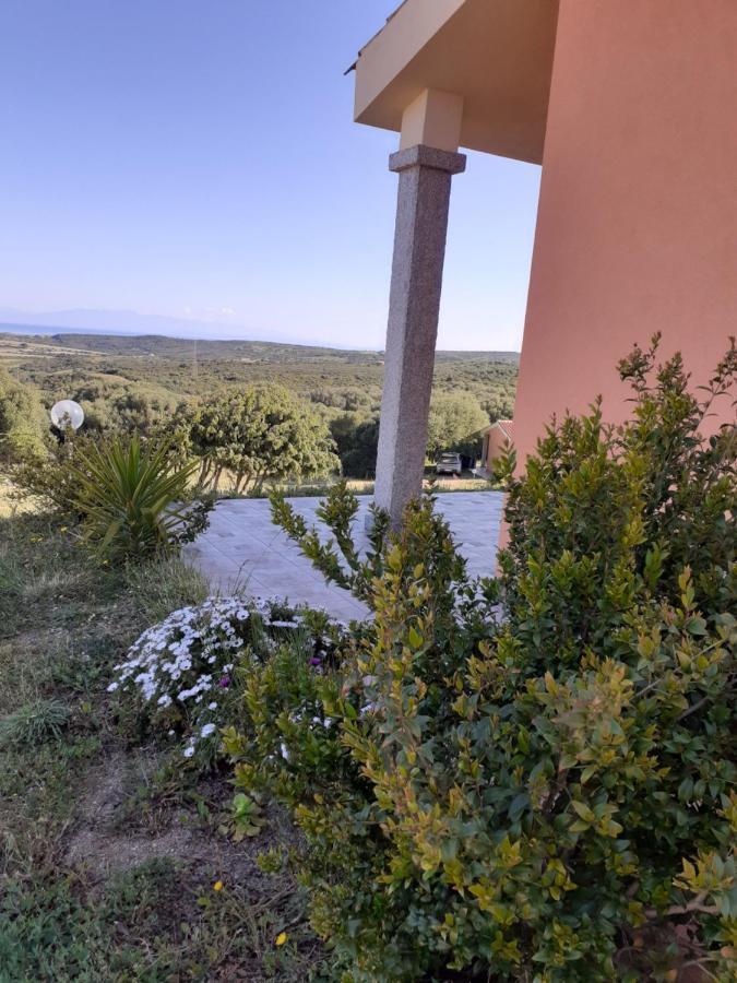 Agriturismo Gli Olivastri Appartamento Raggio Di Sole , Con Piscina E Vista Mare ,Climatizzatore,Wifi Альенту Экстерьер фото