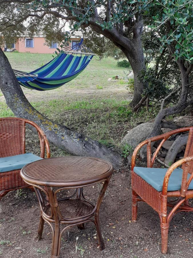 Agriturismo Gli Olivastri Appartamento Raggio Di Sole , Con Piscina E Vista Mare ,Climatizzatore,Wifi Альенту Экстерьер фото