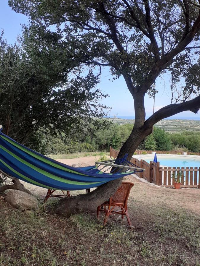 Agriturismo Gli Olivastri Appartamento Raggio Di Sole , Con Piscina E Vista Mare ,Climatizzatore,Wifi Альенту Экстерьер фото