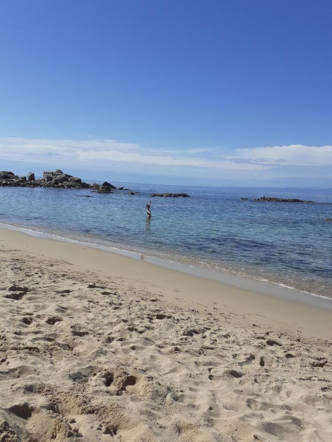 Agriturismo Gli Olivastri Appartamento Raggio Di Sole , Con Piscina E Vista Mare ,Climatizzatore,Wifi Альенту Экстерьер фото