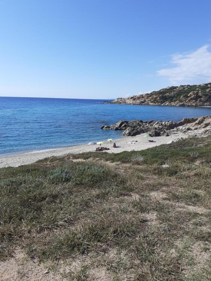 Agriturismo Gli Olivastri Appartamento Raggio Di Sole , Con Piscina E Vista Mare ,Climatizzatore,Wifi Альенту Экстерьер фото