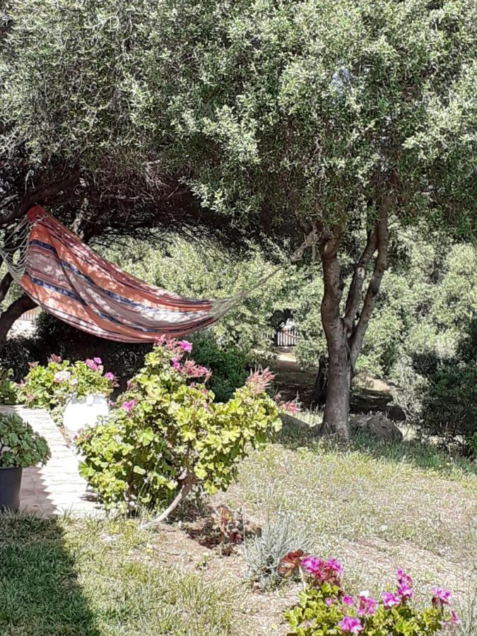 Agriturismo Gli Olivastri Appartamento Raggio Di Sole , Con Piscina E Vista Mare ,Climatizzatore,Wifi Альенту Экстерьер фото