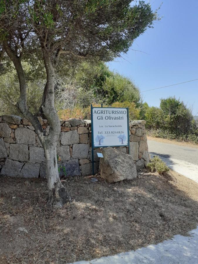 Agriturismo Gli Olivastri Appartamento Raggio Di Sole , Con Piscina E Vista Mare ,Climatizzatore,Wifi Альенту Экстерьер фото